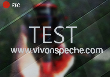 test vivonspeche.com